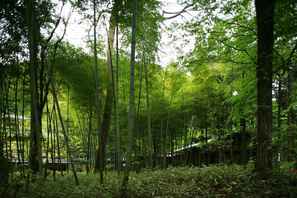 Sekizenkan Kashotei Sanso Nakanojo Buitenkant foto