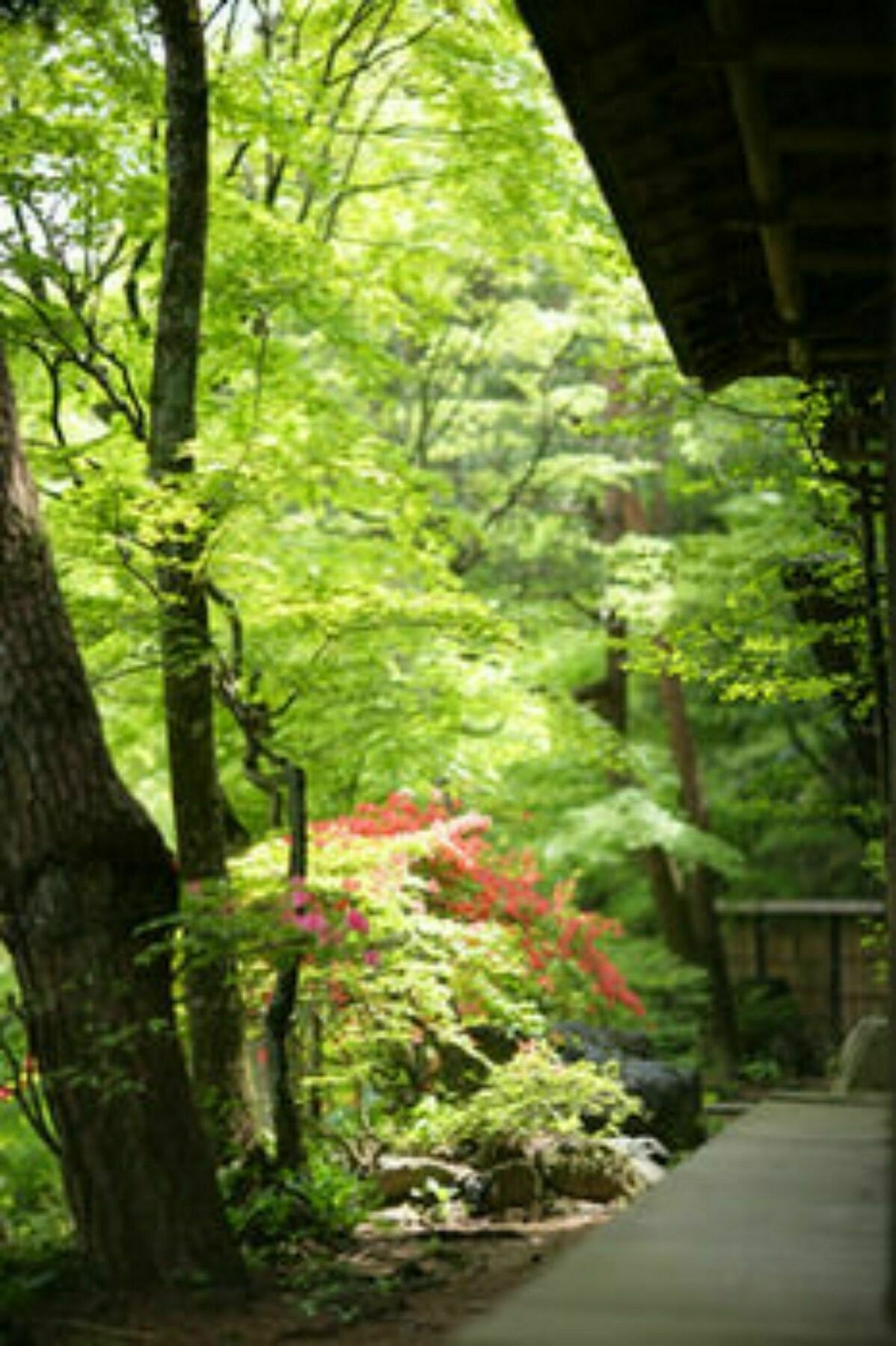 Sekizenkan Kashotei Sanso Nakanojo Buitenkant foto